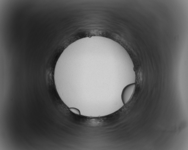 X0000087510522200705251621