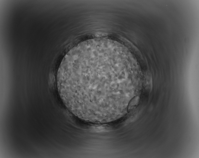 X0000087510523200705251621