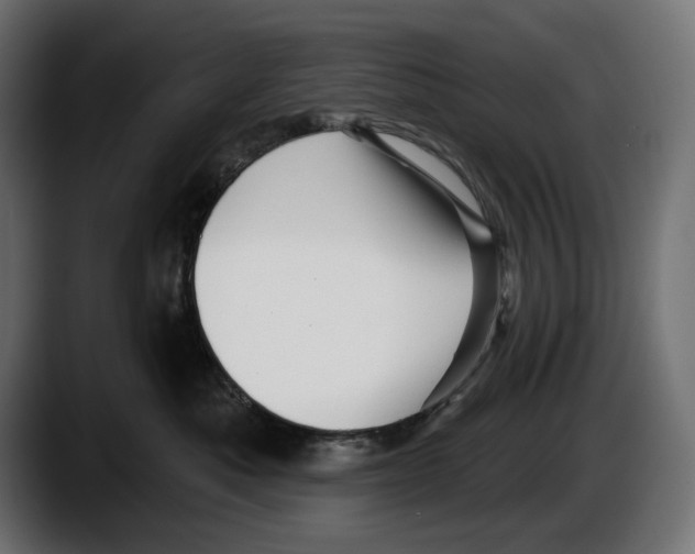 X0000087510525200705251621