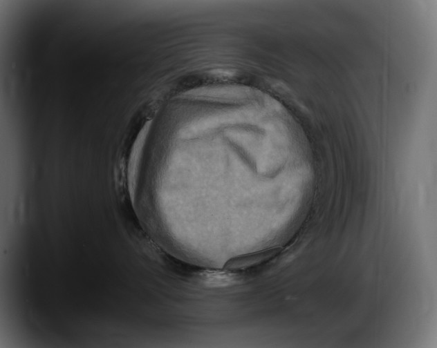 X0000087510528200705251621