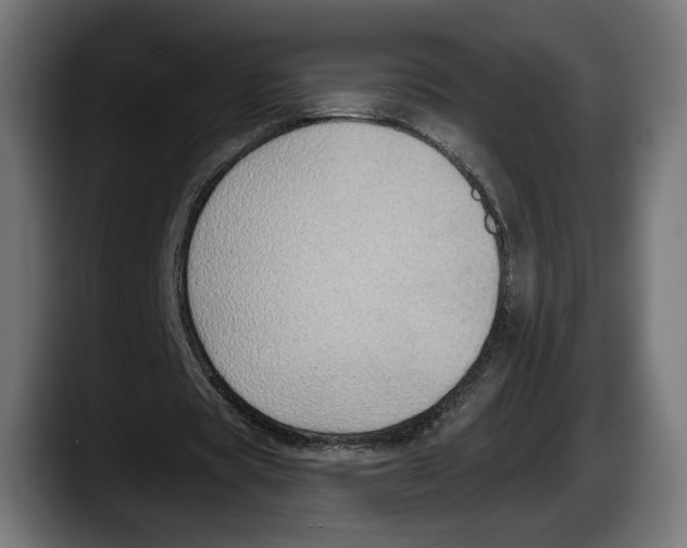 X0000087510529200705251621