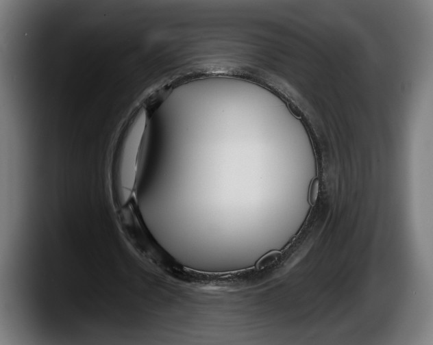 X0000087510530200705251621