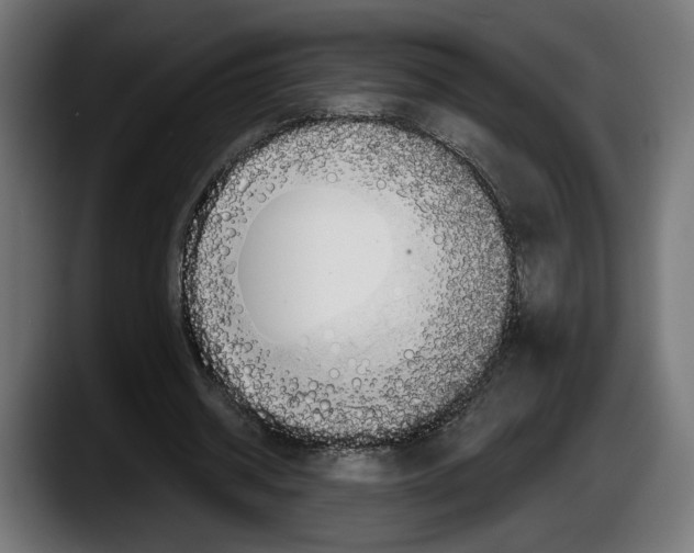 X0000087510534200705251621