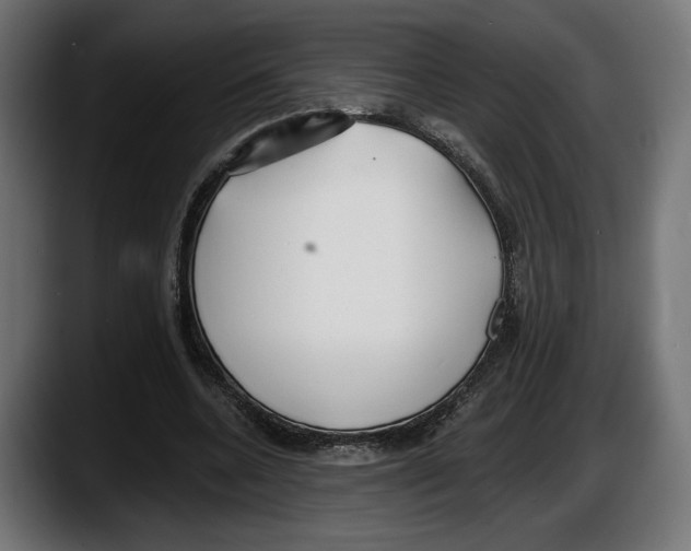 X0000087510536200705251621