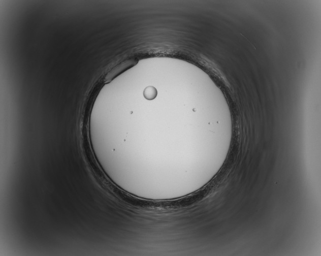 X0000087510538200705251621