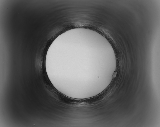 X0000087510539200705251621