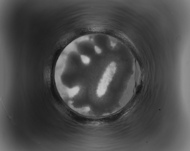 X0000087510542200705251621