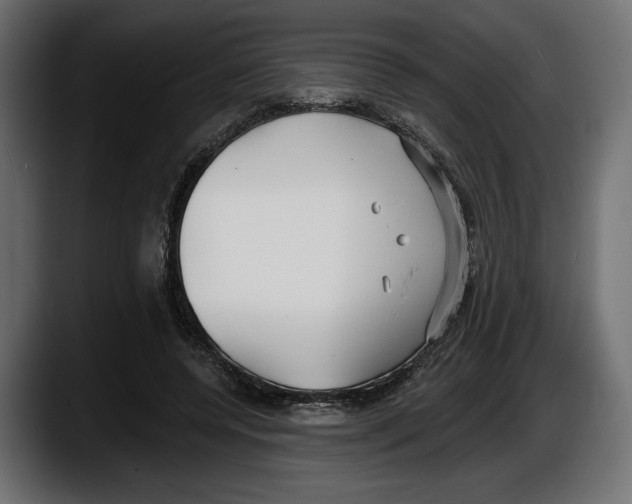 X0000087510544200705251621