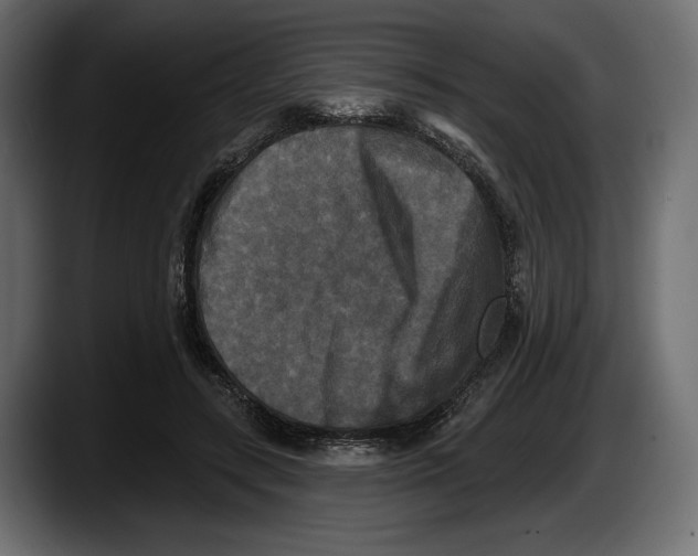 X0000087510547200705251621