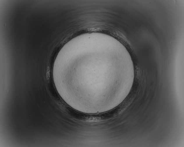 X0000087510549200705251621