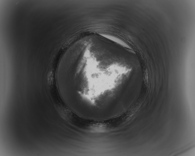 X0000087510551200705251621