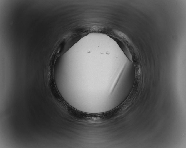 X0000087510552200705251621