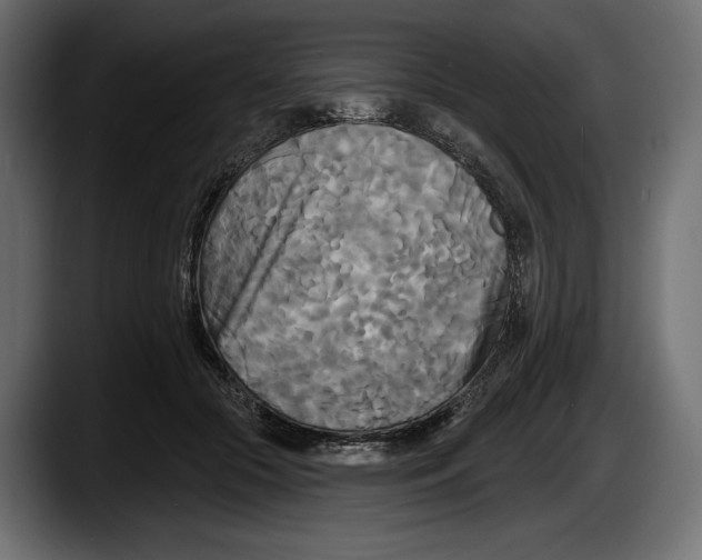 X0000087510553200705251621