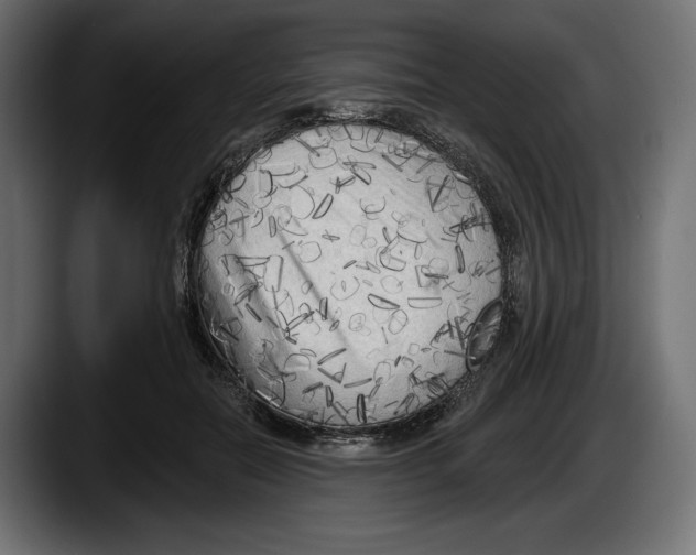 X0000087510554200705251621