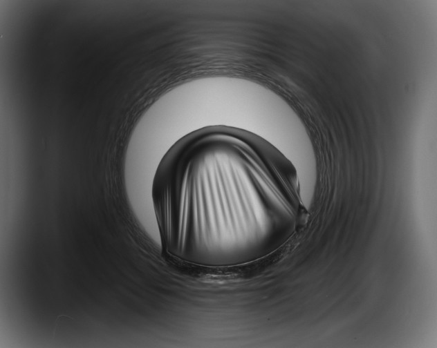 X0000087510556200705251621