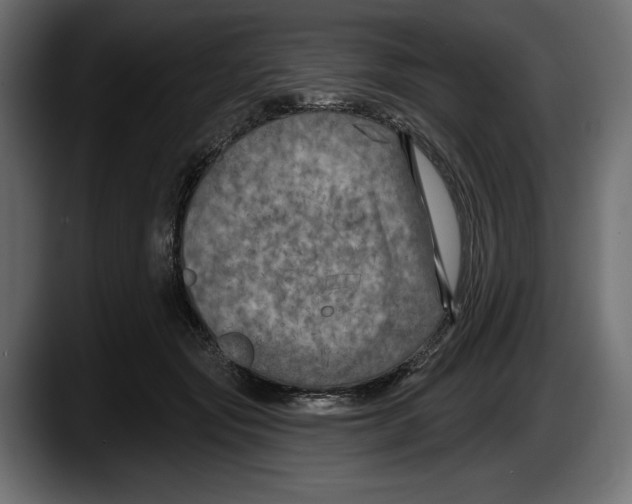 X0000087510557200705251621