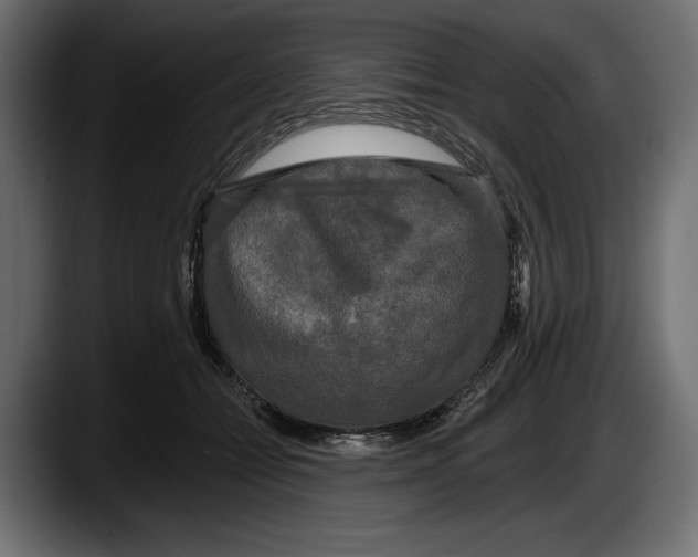 X0000087510558200705251621