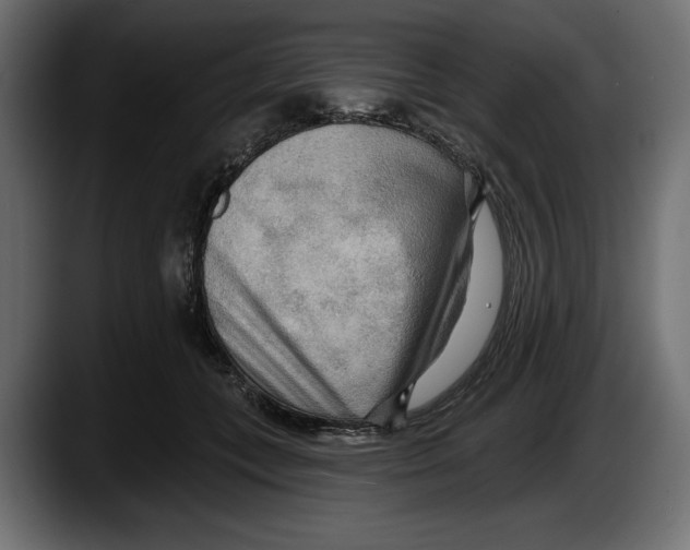 X0000087510559200705251621