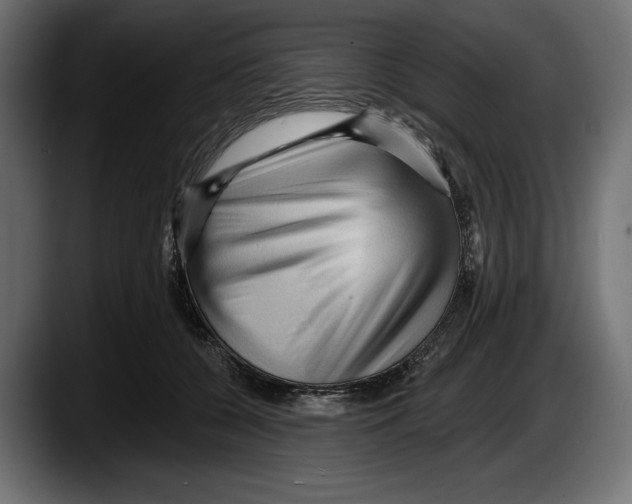 X0000087510560200705251621