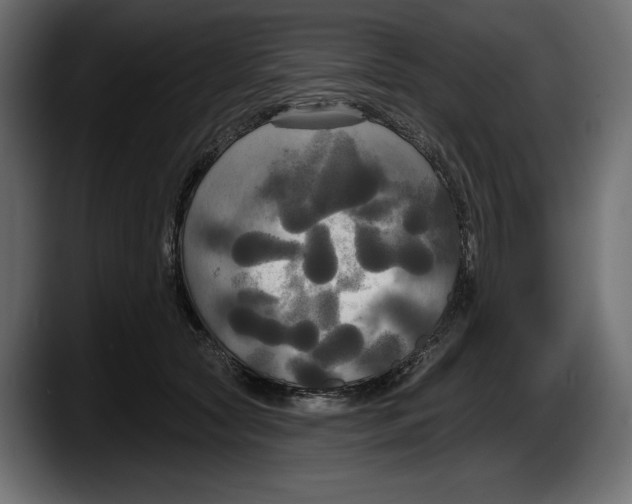 X0000087510561200705251621