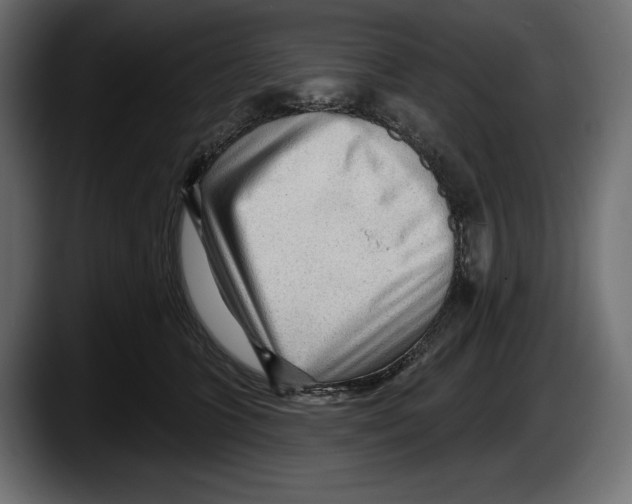 X0000087510563200705251621