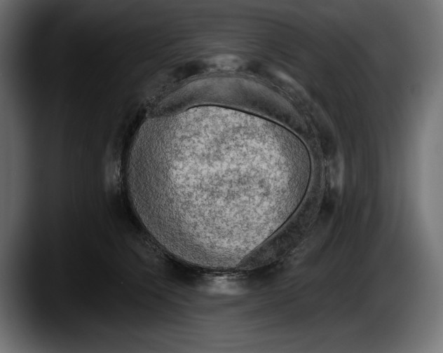 X0000087510564200705251621