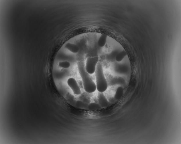 X0000087510565200705251621