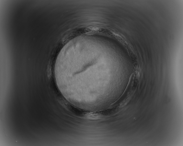 X0000087510568200705251621