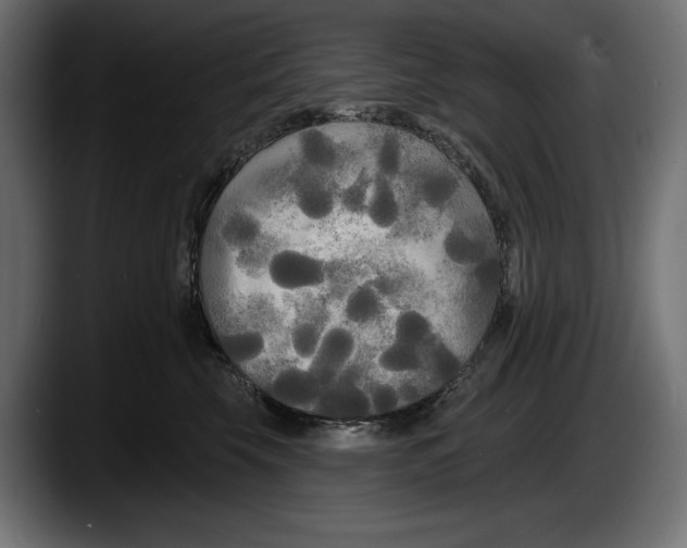 X0000087510569200705251621