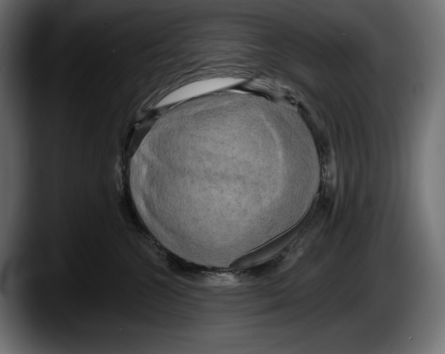 X0000087510572200705251621