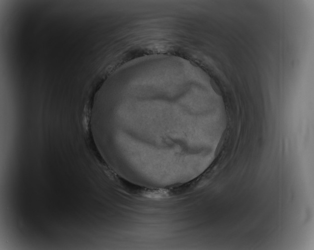 X0000087510576200705251621