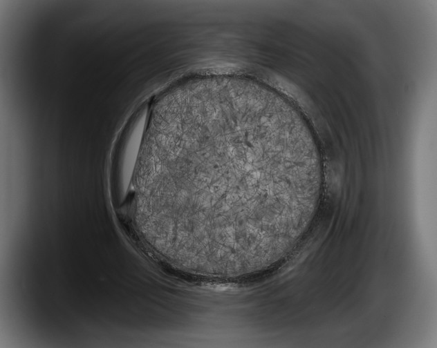 X0000087510582200705251621