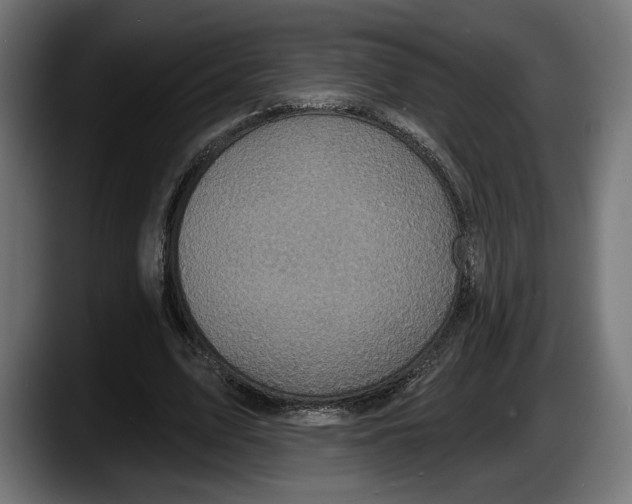 X0000087510583200705251621