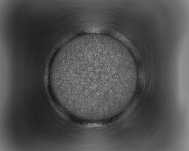 X0000087510586200705251621