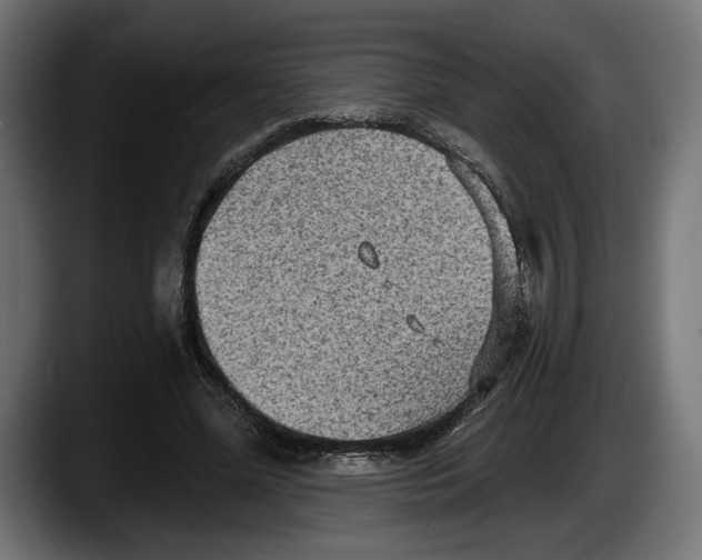 X0000087510588200705251621