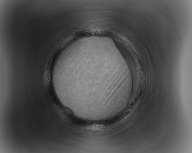 X0000087510593200705251620