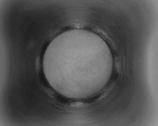 X0000087510594200705251620