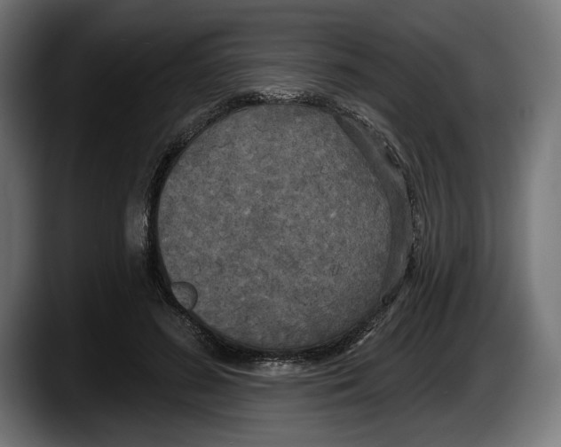 X0000087510596200705251620