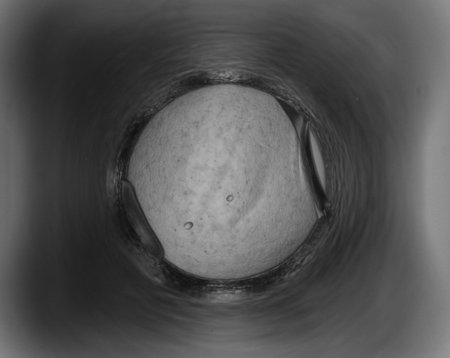 X0000087510601200705251620