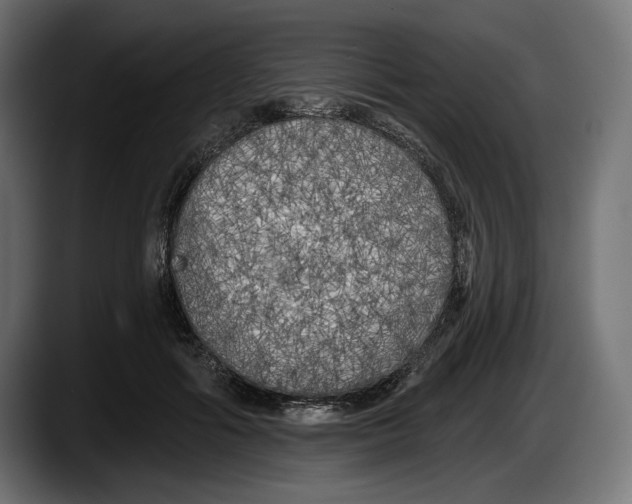 X0000087510602200705251620