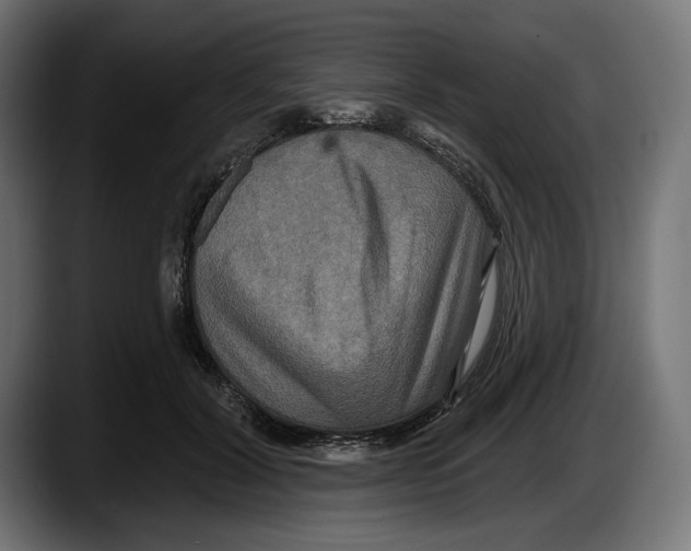 X0000087510604200705251620