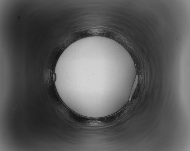 X0000087510605200705251620