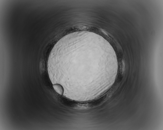 X0000087510606200705251620