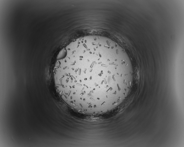 X0000087510607200705251620