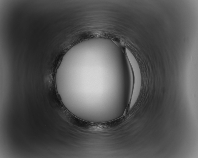 X0000087510611200705251620