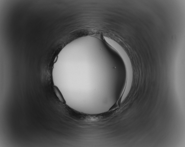 X0000087510613200705251620