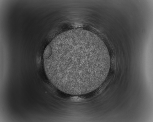 X0000087510614200705251620