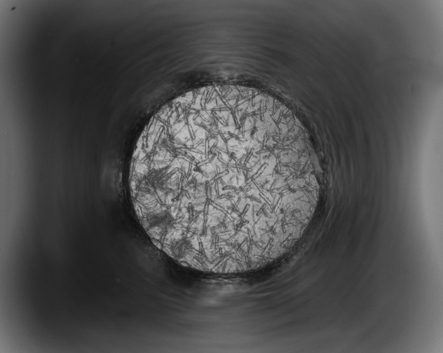 X0000087510615200705251620