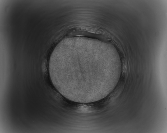 X0000087510616200705251620