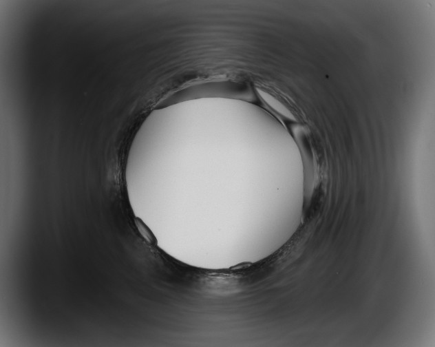 X0000087510617200705251620